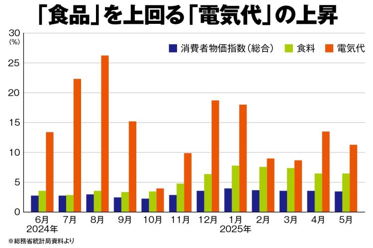 「食品」を上回る「電気代」の上昇（総務省統計局資料より）