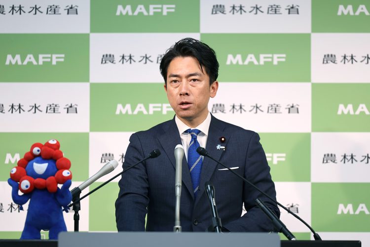 「財務省が総理にしたい政治家」候補の中には小泉進次郎氏も（時事通信フォト）