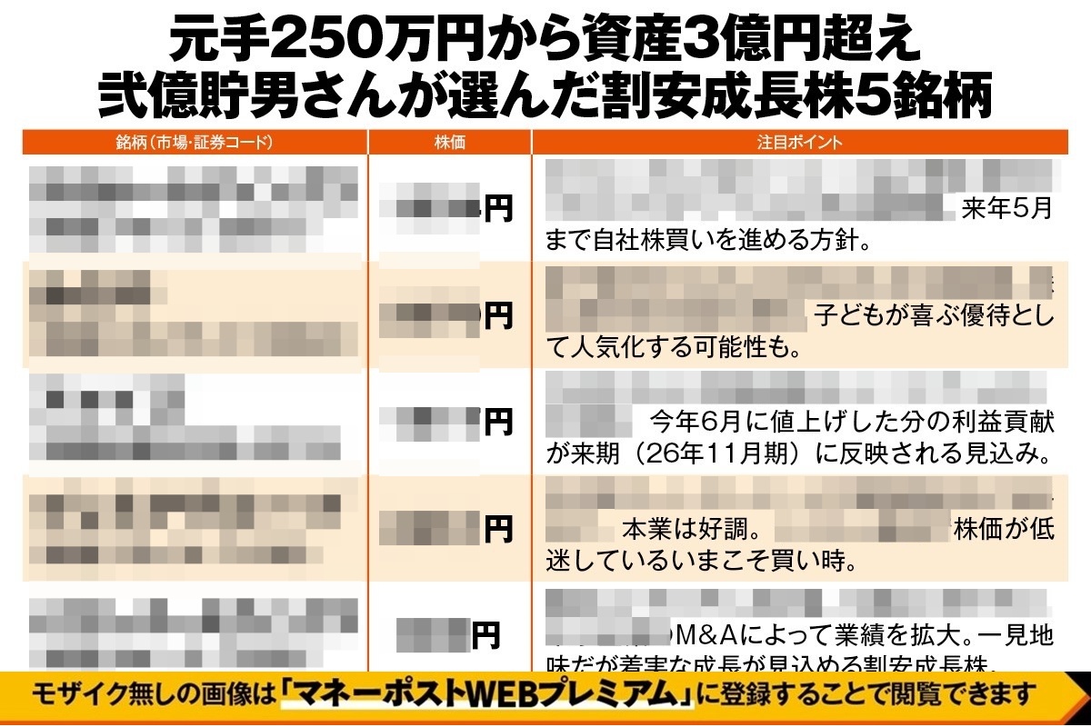 株 投資 15冊セット まとめ売り 元手250万円→資産3億円の弐億貯男さんが厳選した5銘柄》来期の