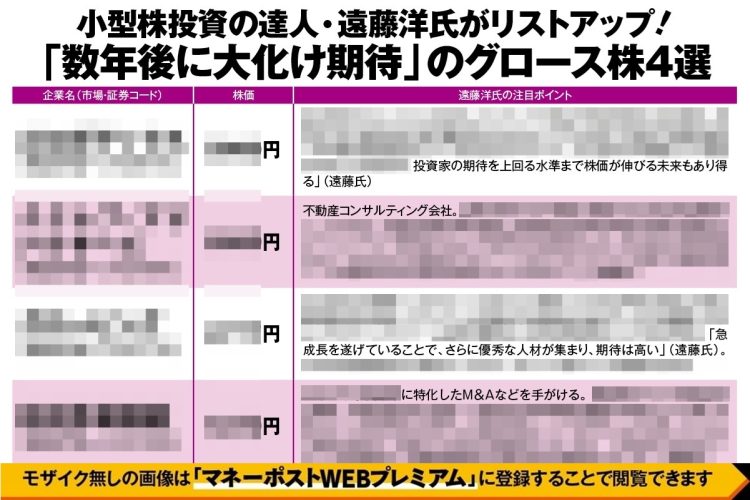 小型株投資の達人・遠藤洋氏がリストアップ「数年後に大化け期待」のグロース株4選