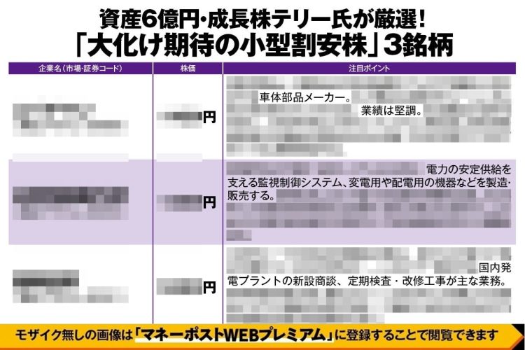 資産6億円・成長株テリー氏が厳選「大化け期待の小型割安株」3銘柄