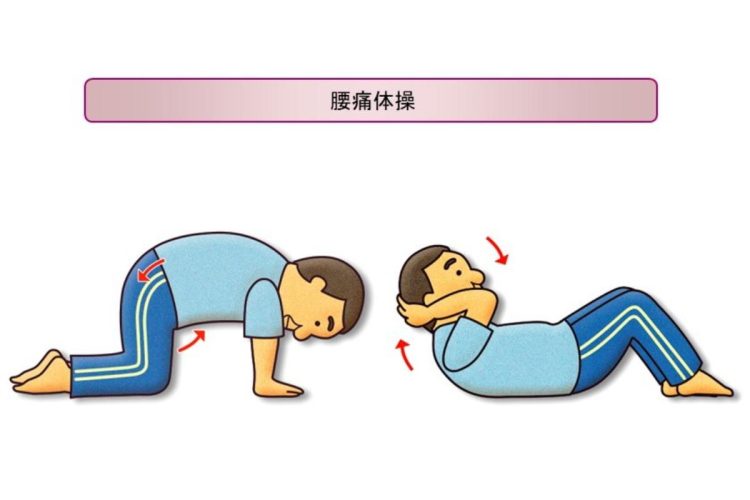 【右】仰向けになって軽く膝を曲げ、両手で頭を支えて肩が床から10cmくらい離れるところまでゆっくり上体を起こす。この姿勢を5秒間保ち、ゆっくりと元の姿勢に戻す。この運動を10回繰り返す【左】四つ這いの状態からへそを覗き込むように頭を下げ、骨盤を後傾させて背中を丸めていく。背中を丸めきったら、前方を見ながら頭を上げ、骨盤を前傾させて背中を反らせる。この運動を10回繰り返す