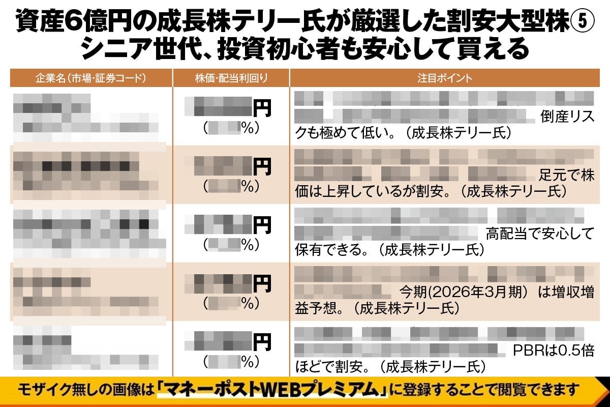 資産6億円の成長株テリー氏が厳選した割安大型株5