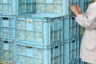 冷凍食材の需要が拡大する中で懸念される輸入依存リスク　中国依存度が高い「業務用ネギ」の国産回帰に取り組む生産者の挑戦