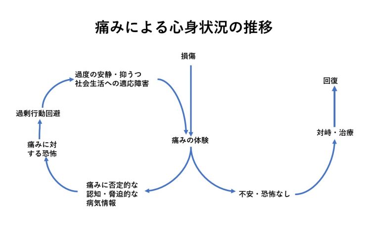 何らかの損傷で痛みを生じたとしても、痛みと対峙できる人は回復が早い。ところがこの痛み治らないかもという誤った情報を信じ込んでしまうと、痛みに対する恐怖がひろがり、さらに心理的ストレスがかかり、痛みが継続する悪循環に陥る
