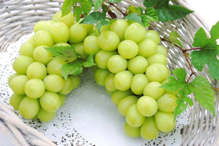 ふるさと納税の制度を正しく理解し使い倒す(写真:イメージマート)