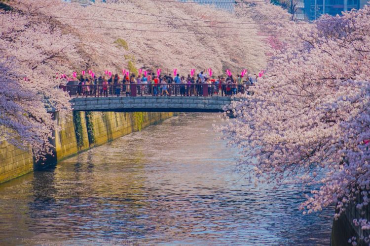 桜の名所として知られる目黒川も近い「池尻大橋」（写真：イメージマート）