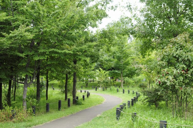 ファミリー層からも支持を集める「浜田山」（柏の宮公園／写真：イメージマート）