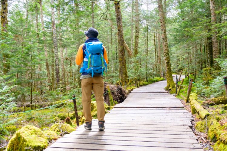 クマ被害の拡大で、登山ファンにも意識変化が起こっている（イメージ）