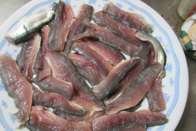 釣ったサッパは「ママカリ」に