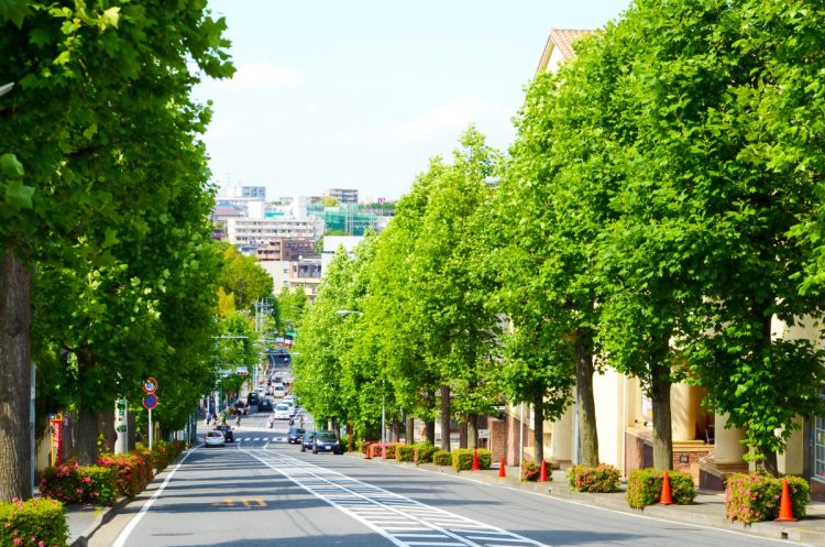 住環境としての評価は高い「あざみ野」だが心配な点も