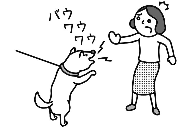 リードが長くて犬に飛びかかられそうになることも（イラスト／大野文彰）