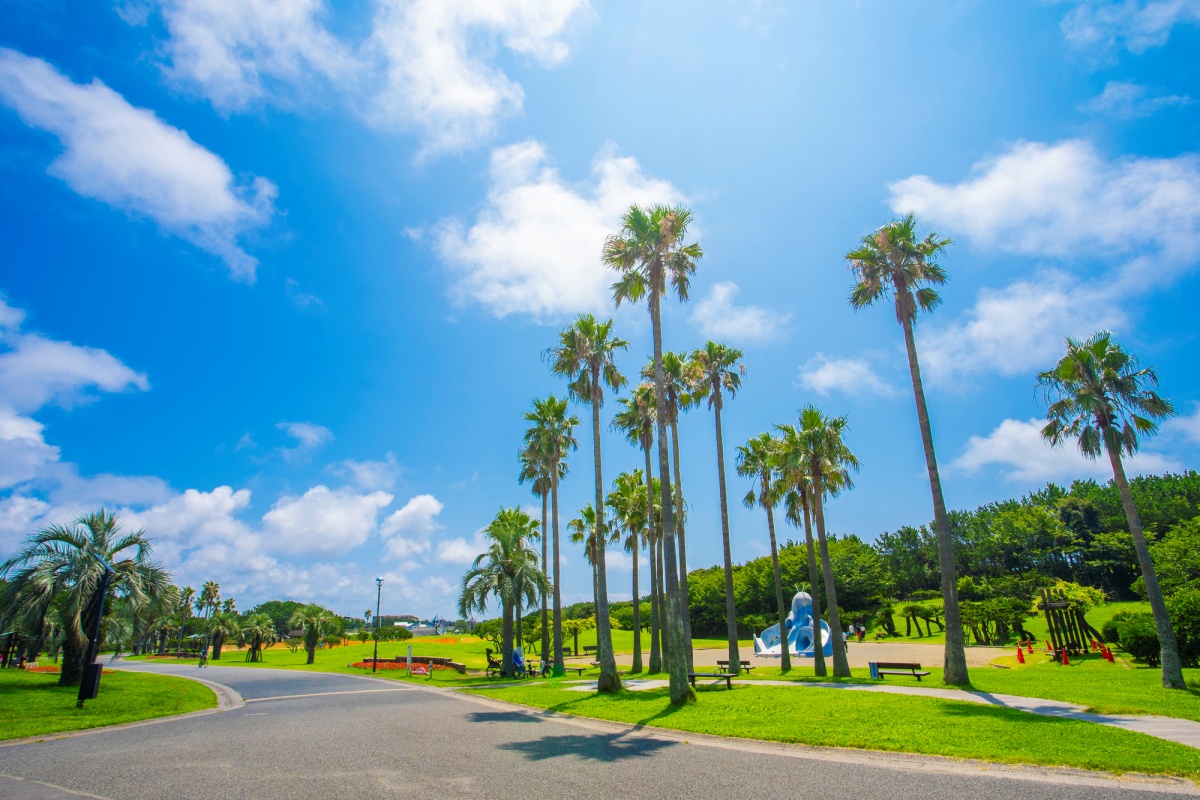 “湘南ブランド”として人気を集めてきたエリアにも変化が(辻堂海浜公園)