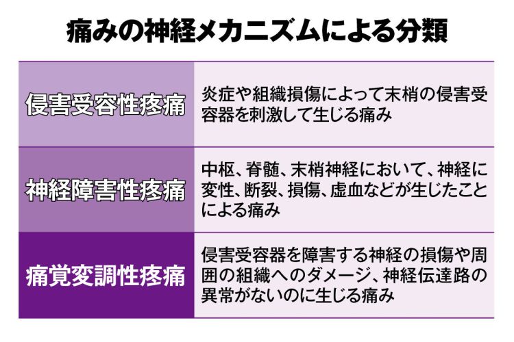 慢性疼痛治療の第一目的は、痛みをゼロにすることではありません」 “脳