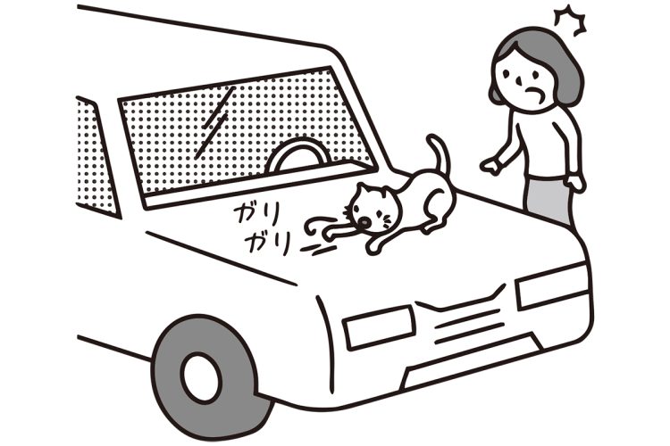 損害賠償を請求できるのか（イラスト／大野文彰）