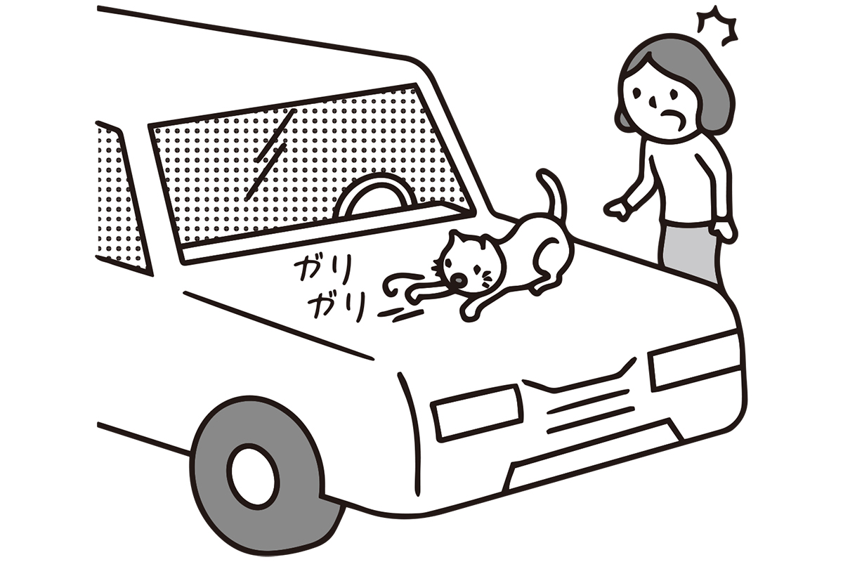 損害賠償を請求できるのか（イラスト／大野文彰）