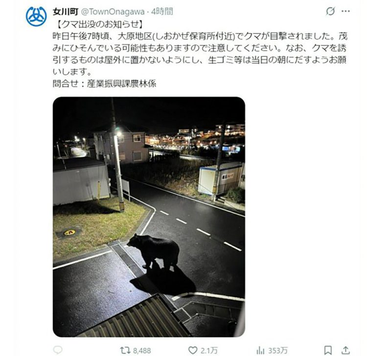自治体も誤認したクマ出没のフェイク画像（SNSより）