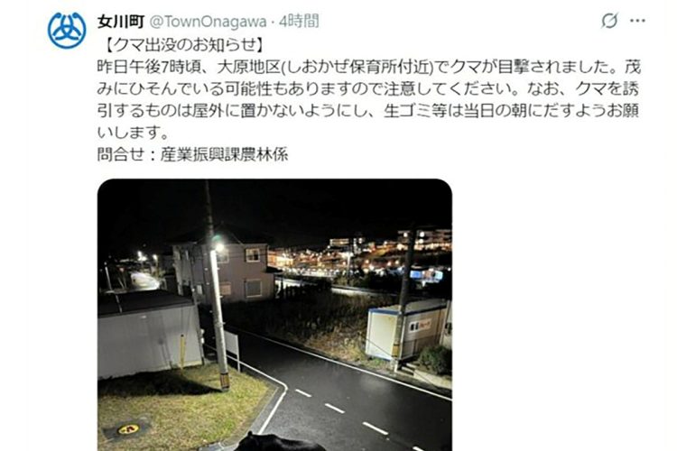 自治体も誤認したクマ出没のフェイク画像（SNSより）