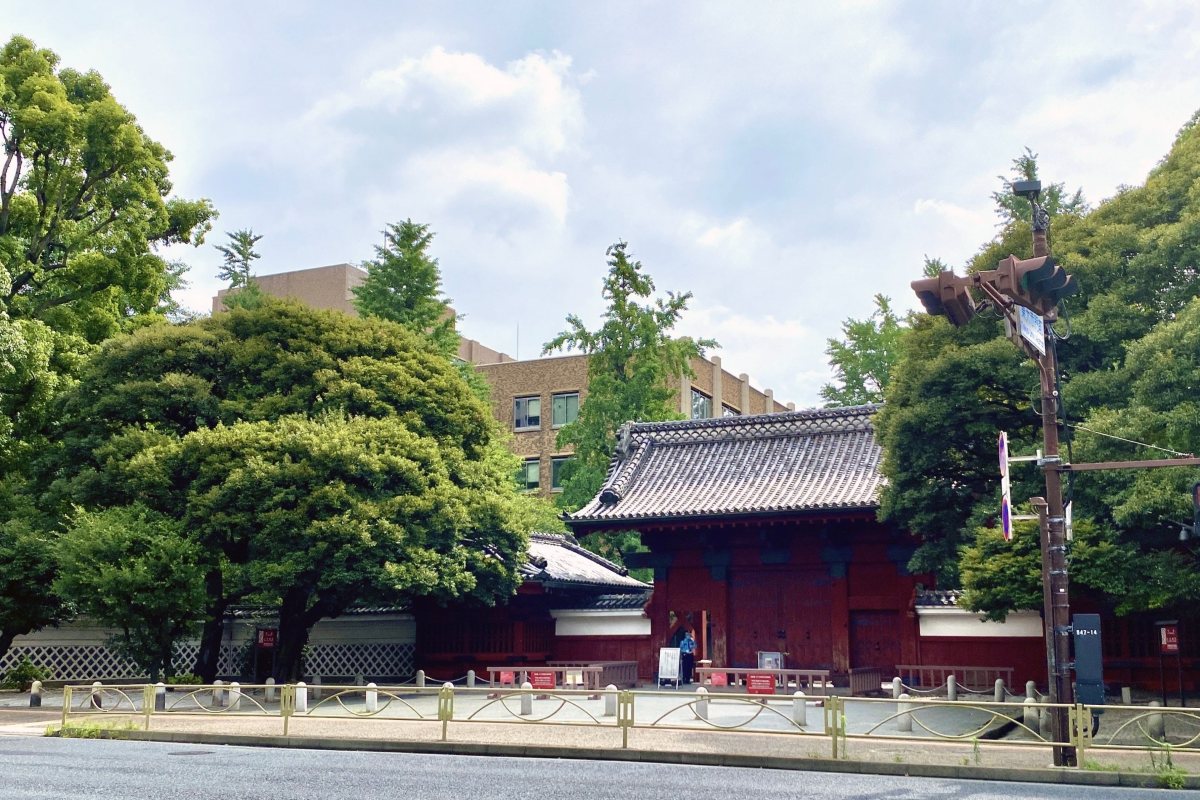 東大の推薦入試の合格発表がおこなわれ、その合否を巡ってSNSでも話題となっている