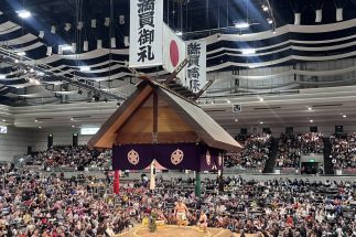 荒れる春場所は応援グッズも「番付崩壊」　大の里、安青錦のタオルが売れ残り、代わりに売り切れたのは…平幕力士ながら再入荷後も売れ続ける大異変に