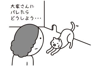 ペット禁止の賃貸物件に住んでいるのに隠れて子猫を飼育中…大家に発覚したらどうなるのか？弁護士が解説「契約違反で是正に応じなければ契約解除」、違約金発生の可能性も