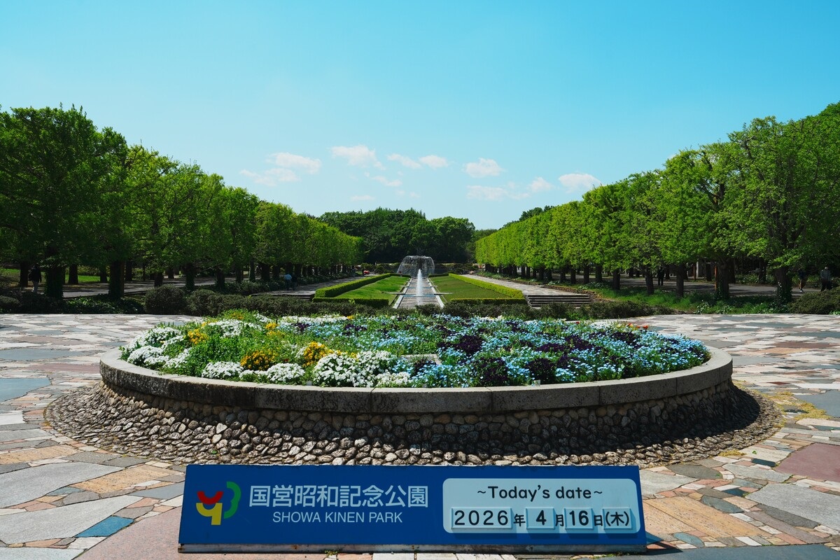 四季折々の自然が楽しめる昭和記念公園