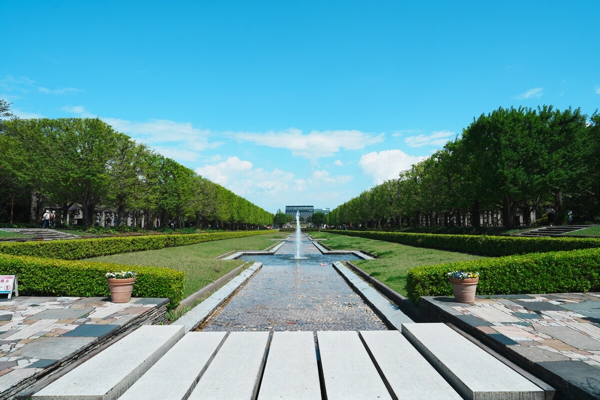 奥まで続く角刈りが壮観！イチョウ並木が一望できるカナールエリア