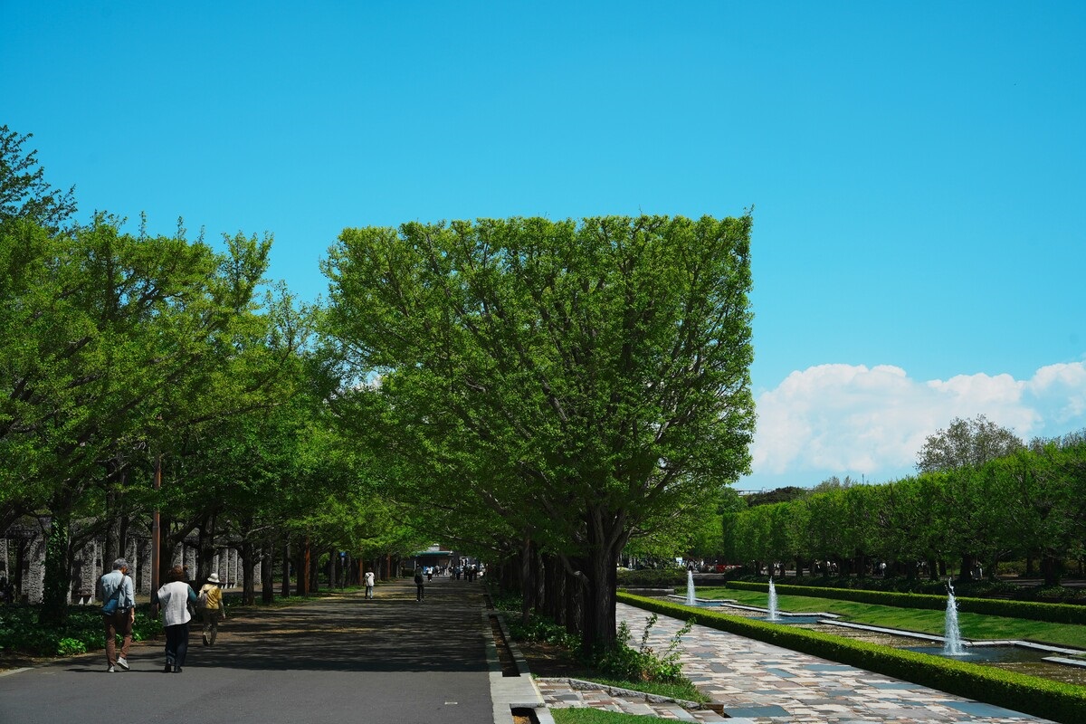 今も昔も“四角さ”は変わっていない