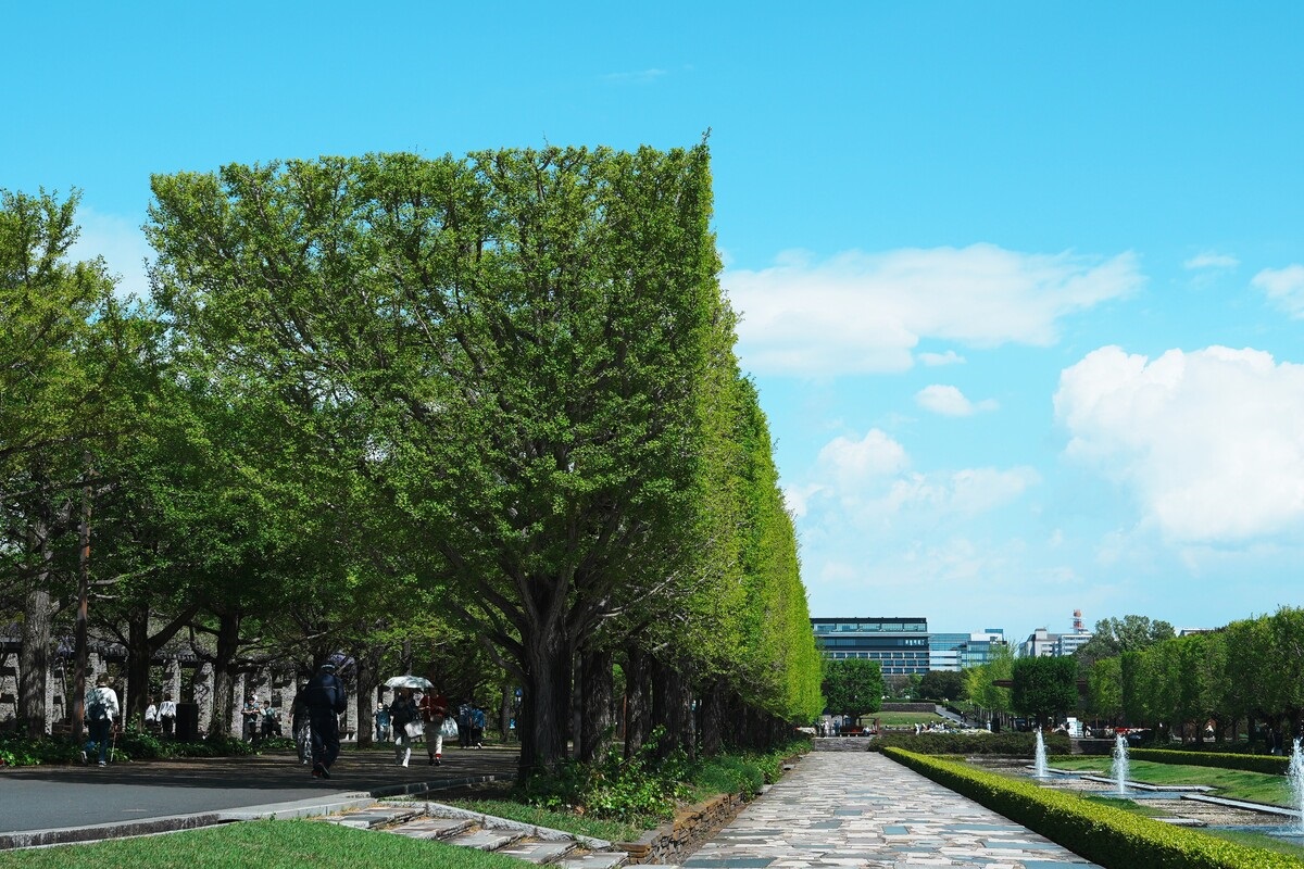 なぜ切り揃えられているのか