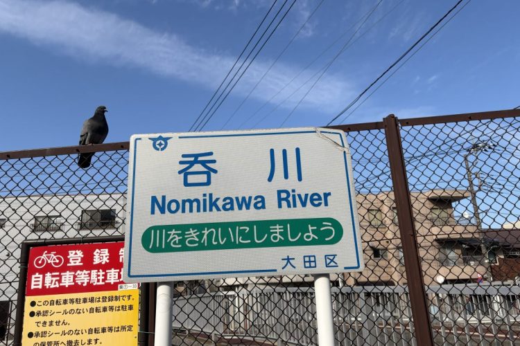 ハトも我々のほろ酔い散歩を見守ってくれている