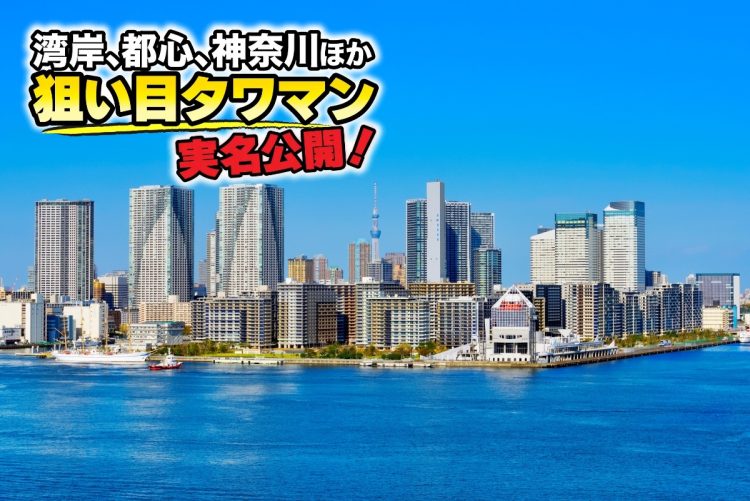 湾岸エリアで価格上昇が期待できる物件は（写真：イメージマート）