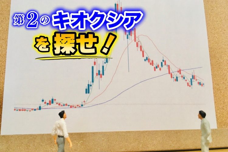 株価が乱高下する銘柄を保有する際、どんなことに気をつければよいか