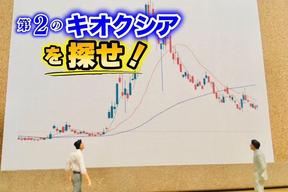 株価が乱高下する銘柄を保有する際、どんなことに気をつければよいか
