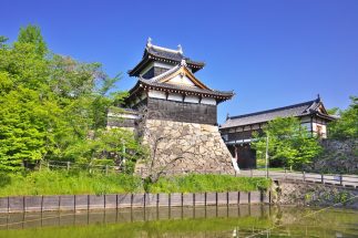 【天下統一を見据えた豊臣兄弟の経済政策】秀吉が弟・秀長を紀伊に転封した納得の事情　秀長は「奈良における商売を一切禁止」する過激政策も断行