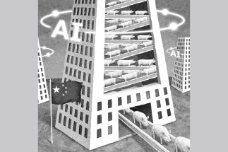 「安い中国産」を作り続けられる秘密とは（イラスト／井川泰年）