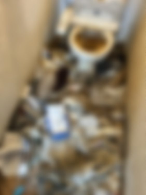 実際のトイレの写真(提供写真)