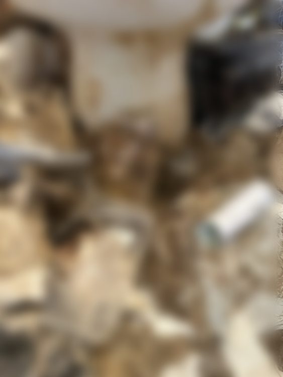 尿で固まった紙が、柱のようにそびえ立つ（提供写真）