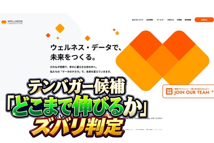 企業向け健康診断業務などを請け負い急成長（ウェルネス・コミュニケーションズのホームページより）