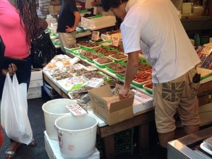 鮮魚店から億り人に（イメージ）