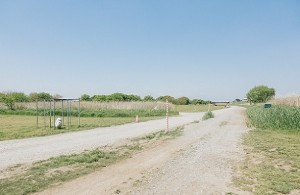 目的地や目標を決めないからこそ楽しめる