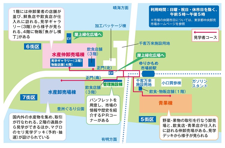 市場前駅を起点とした「豊洲市場」ガイドMAP