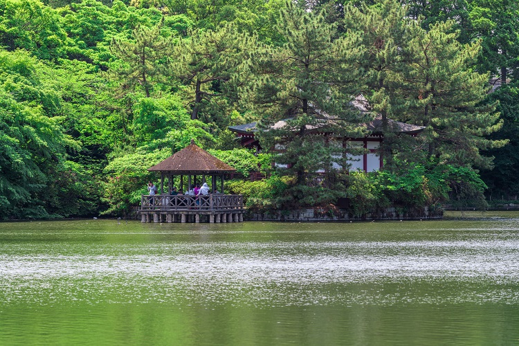 都内でも屈指の緑の多さを誇る石神井公園（三宝寺池）