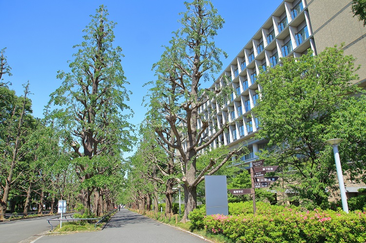 日吉といえば慶應大学の日吉キャンパス