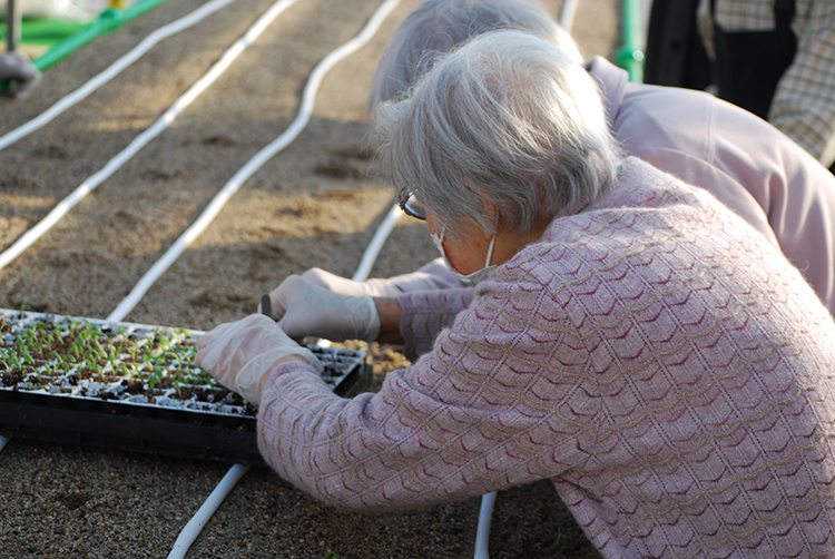 年齢や介護度などによる制約なしで農作業に従事でき、報酬もあるという