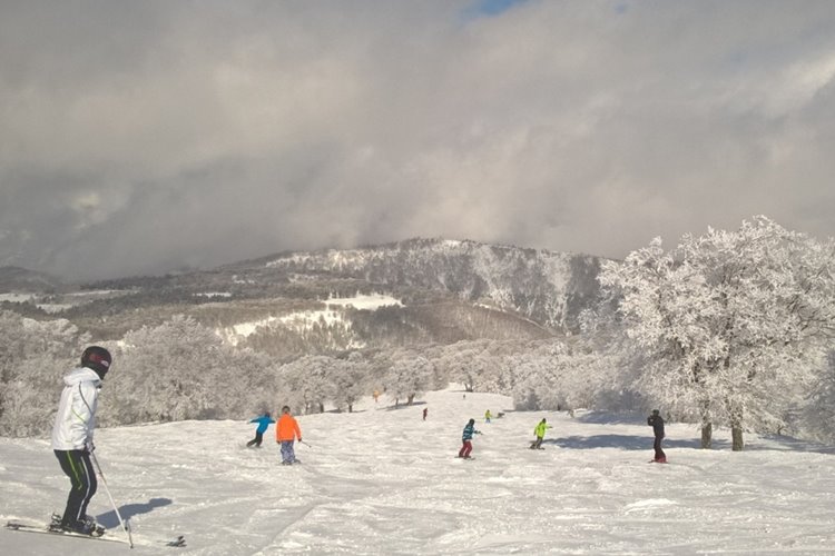 新潟県湯沢町の「応援感謝券」は、スキー場施設はじめ、町内ほとんどの支払いが可能