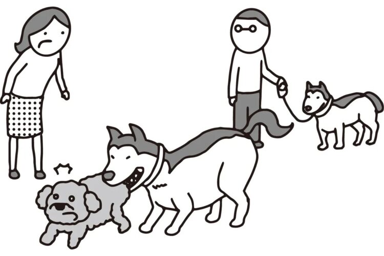 大切な愛犬が他の犬に噛まれてしまって…（イラスト／大野文彰）