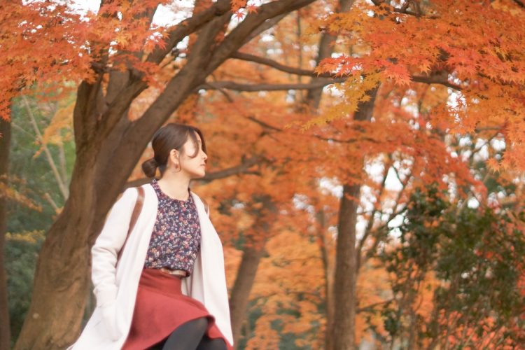 地域によって異なる「紅葉の見頃」をどう見極めるか（写真はイメージ）