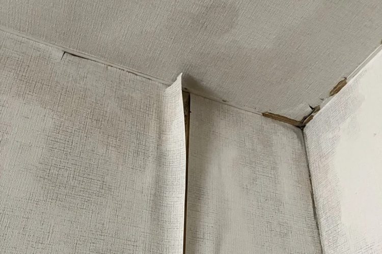 天井や壁がビショビショに。「トイレの水が室内に流れ込んできていると思うと、気持ち悪くて安心して暮らせませんでした」とハセジュンさん