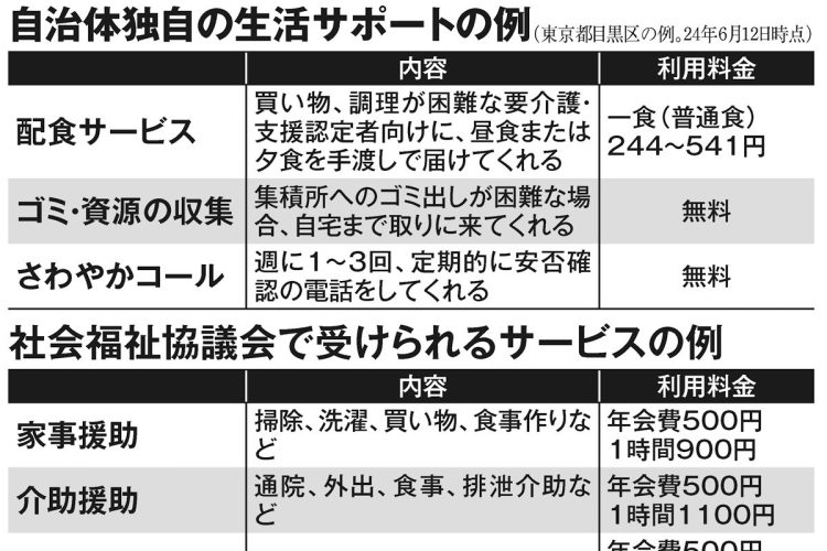 自治体独自の生活サポート例、社会福祉協議会で受けられるサービスの例