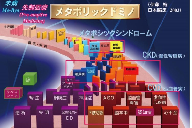 メタボリックドミノの概念図